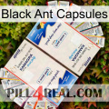 Black Ant Capsules kamagra1